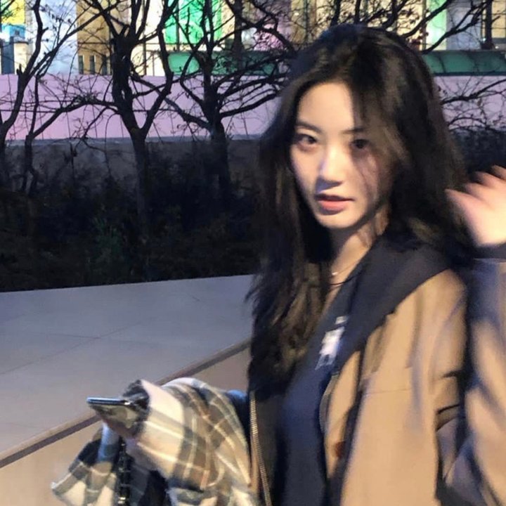 狗狗与你的故事